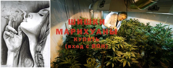 каннабис Бородино