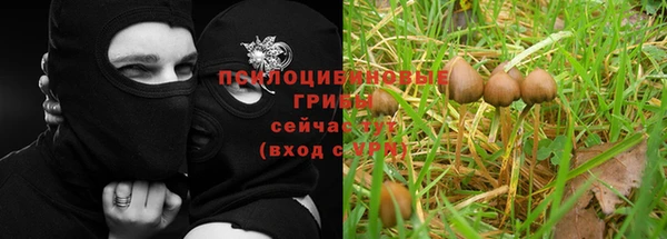 марки lsd Бронницы